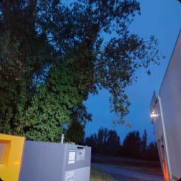 Photo de l'anomalie : un arbre penche au-dessus d'une borne de collecte